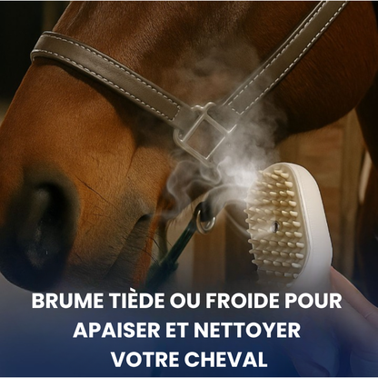 Brosse à vapeur RideBand™