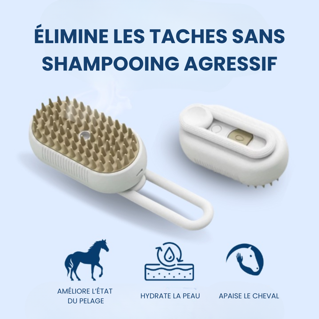 Brosse à vapeur RideBand™