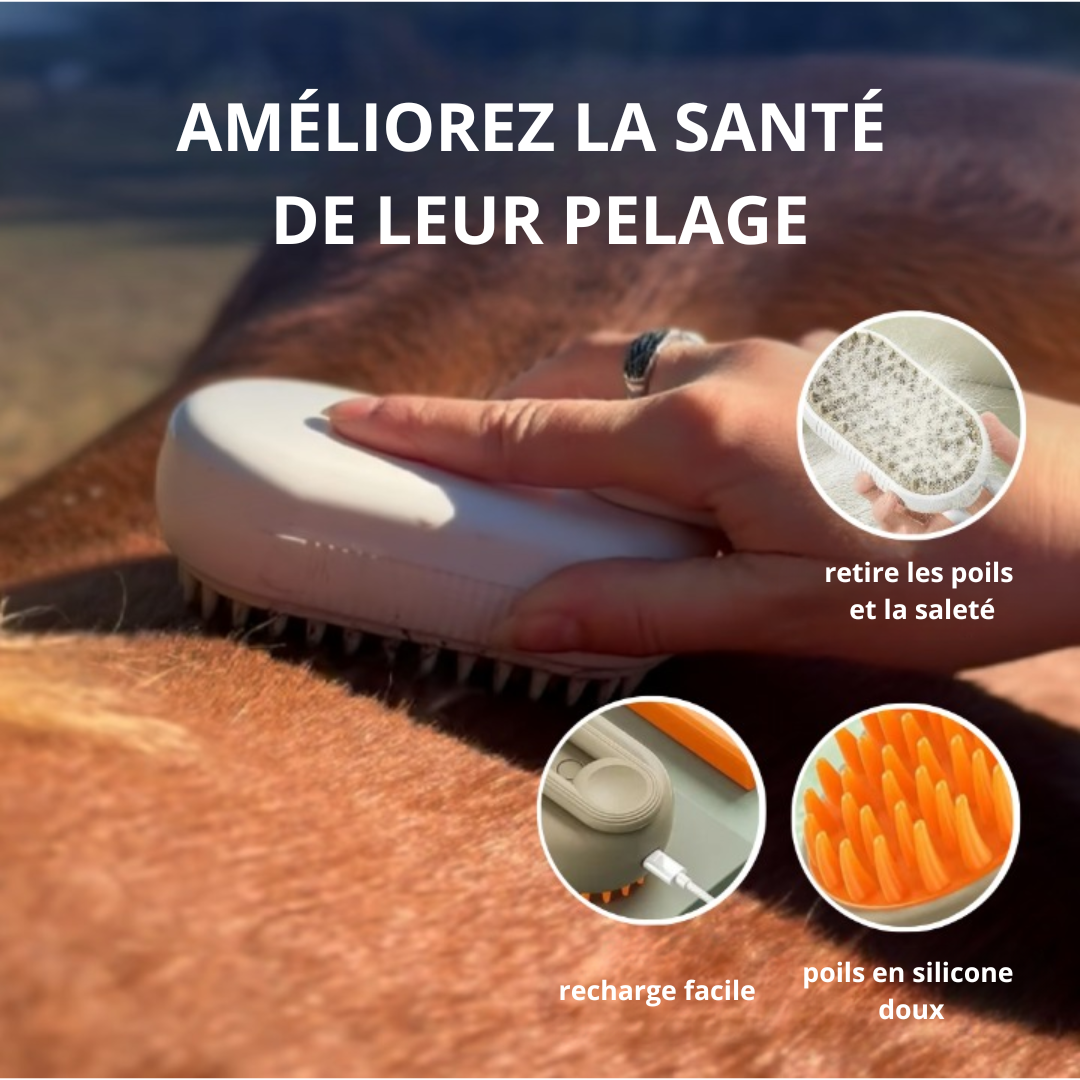 Brosse à vapeur RideBand™